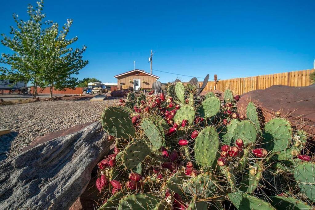 Redrock Moab Tiny House W Large Loft Site 8 Villa Екстериор снимка